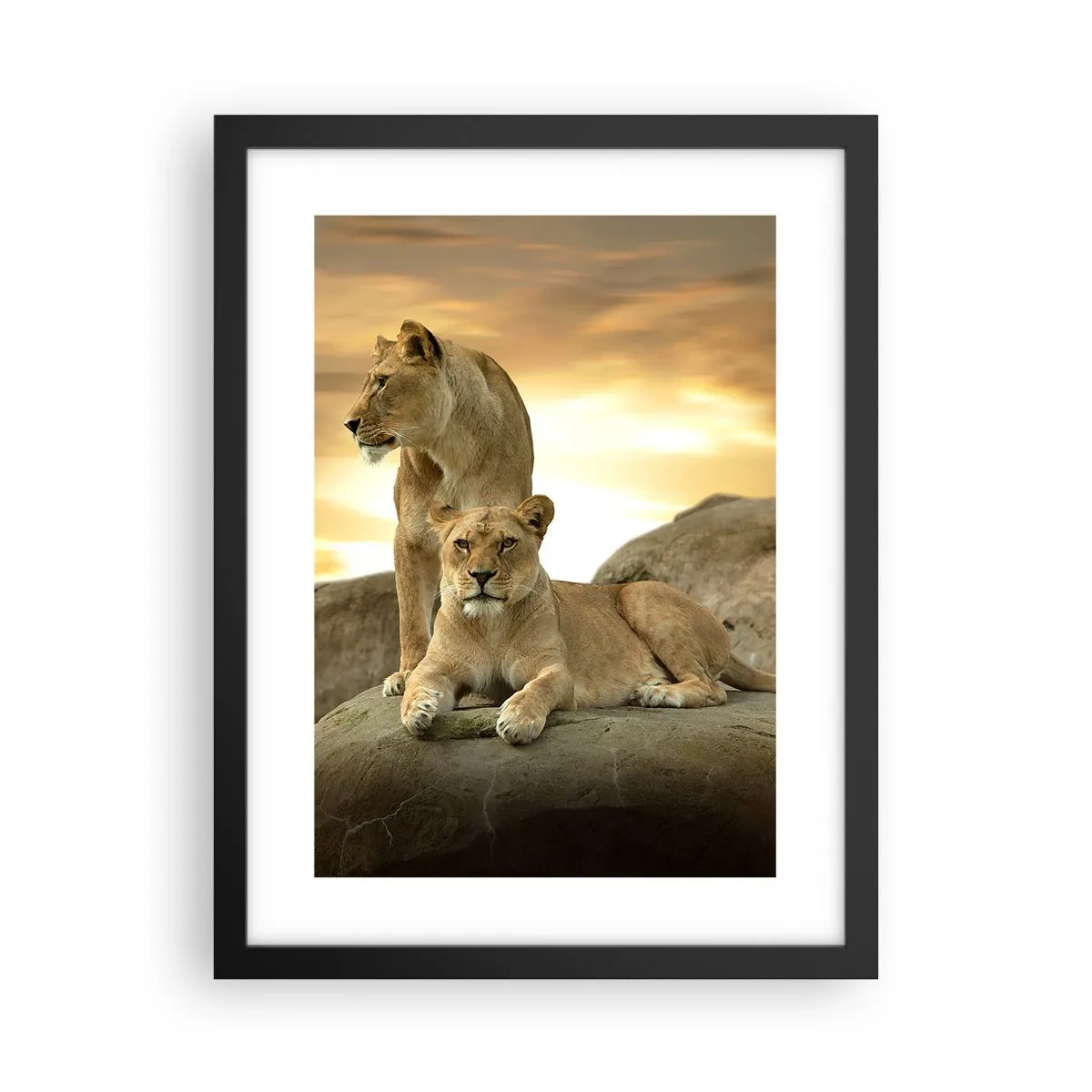 Poster in black frame - Royal Majesty - 30x40 cm