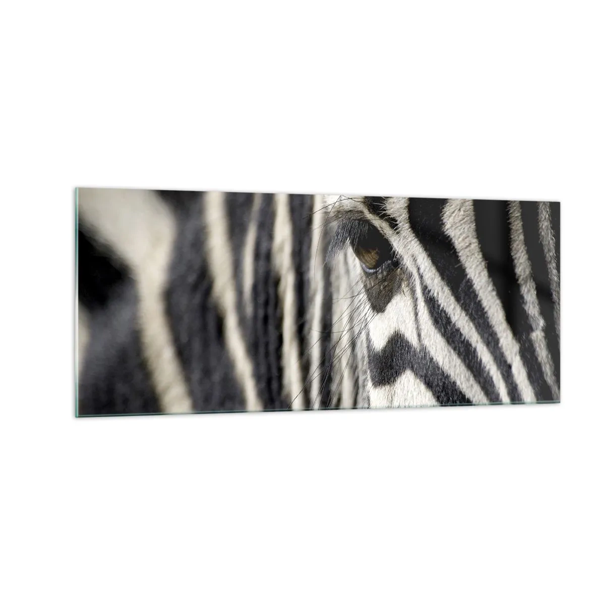 Glass picture - Striped Portrait - 100x40 cm