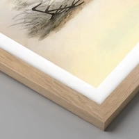 Light Oak