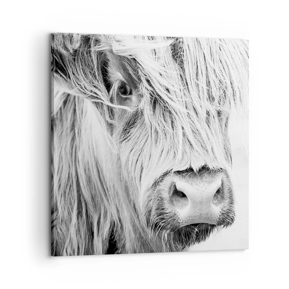 Canvas picture - Scottish Wilderness - 60x60 cm