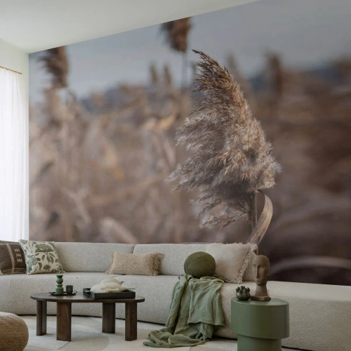 Photo Wallpaper Standard Eco - Time to Fly with the Wind - Meadow, Pampas Grass, Nature - 350x256 cm
