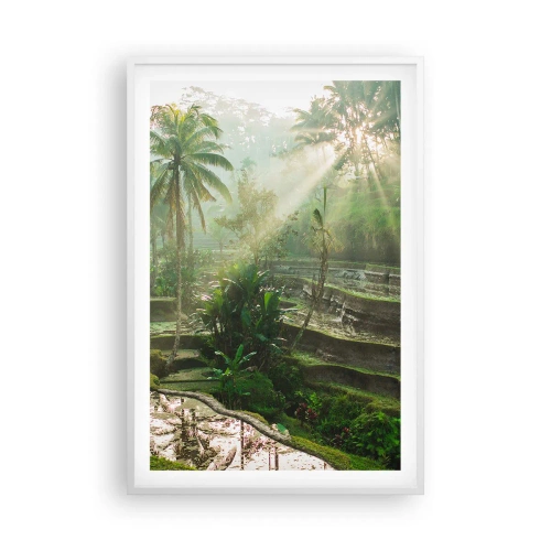 Poster in white frmae - Maturing in the Sun - 61x91 cm