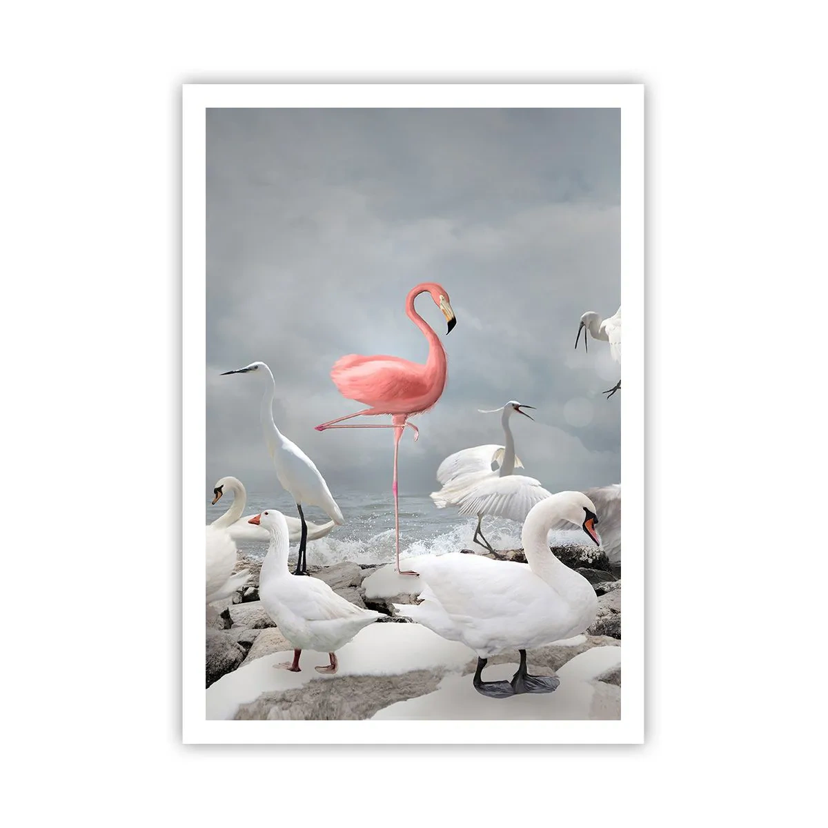 Poster - Where Did I Come from? - 70x100 cm