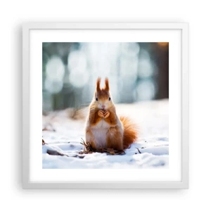 Poster in white frmae - What Are You Looking at? - 40x40 cm