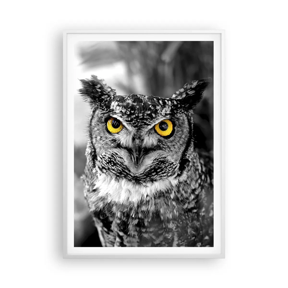 Poster in white frmae - Nothing Can Hide - 70x100 cm