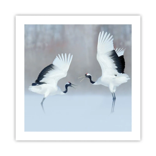 Poster - Dance in the Fog - 50x50 cm