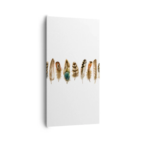 Canvas picture - Feather Variation - 65x120 cm