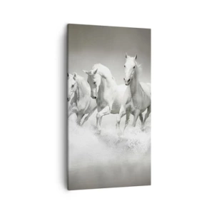 Canvas picture - White Madness - 45x80 cm