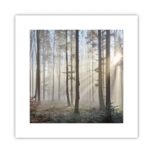 Poster - Fog Has Woken up Too - 30x30 cm