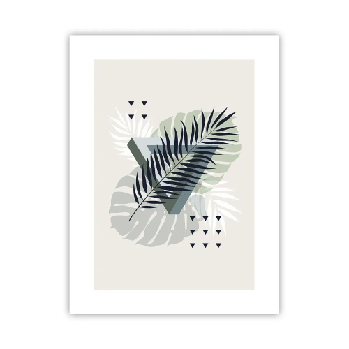 Poster - Nature and Geometry - Two Orders? - 30x40 cm