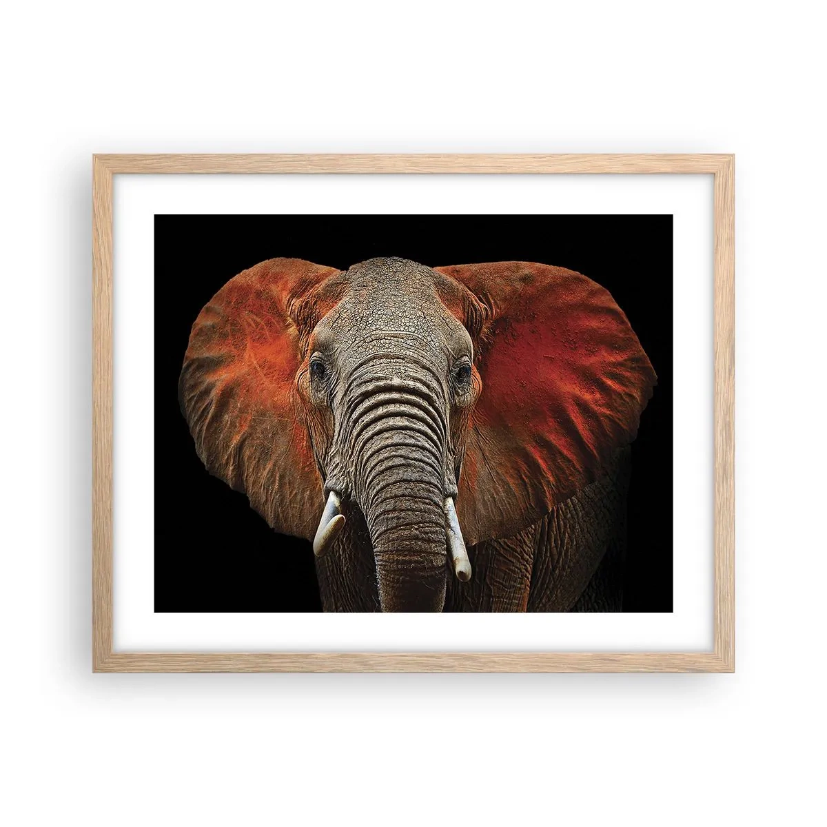 Poster in light oak frame - I am Wild, and You? - 50x40 cm