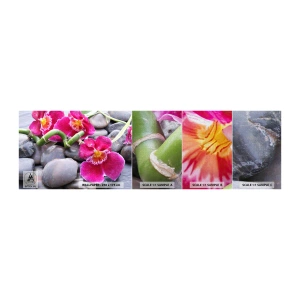 Photo Wallpaper Sample Premium Canvas - Coolness and Heat - Flowers, Stones, Orchid - 100x30 cm