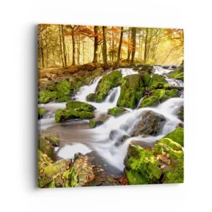 Canvas picture - Gingerly through an Autumnal Forest - 40x40 cm