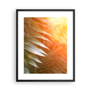 Poster in black frame - Morning in the Jungle - 40x50 cm