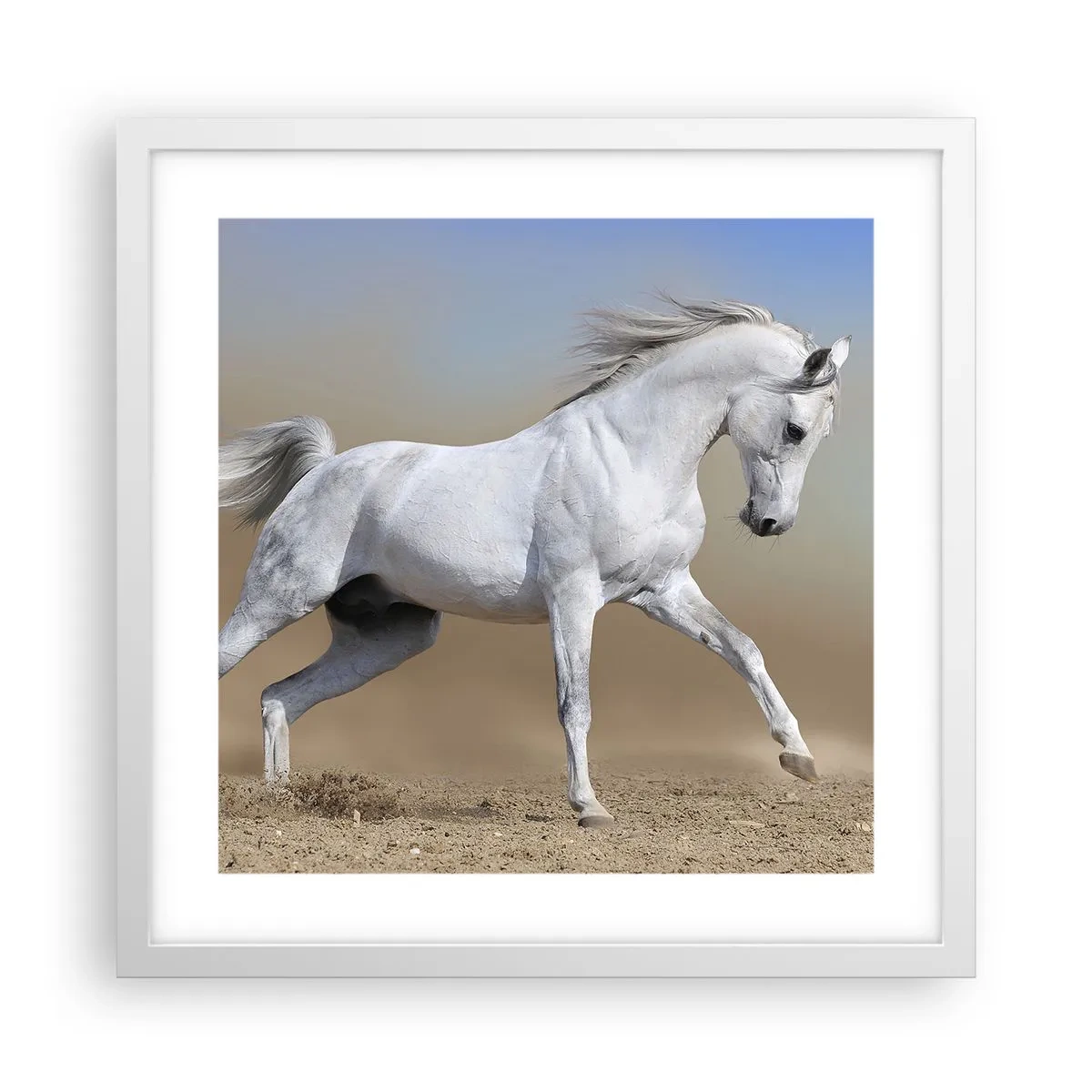 Poster in white frmae - The Most Beautiful Arabic Tale - 40x40 cm