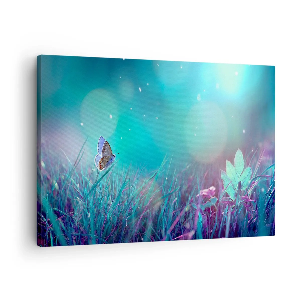 Canvas picture - A butterfly on the grass in the light of blurred reflections - 70x50cm - Secret Life of a Meadow - Modern wall decoration for the living room and bedroom ARTTOR