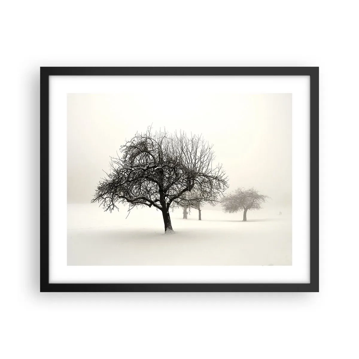 Poster in black frame - Winter Dream - 50x40 cm