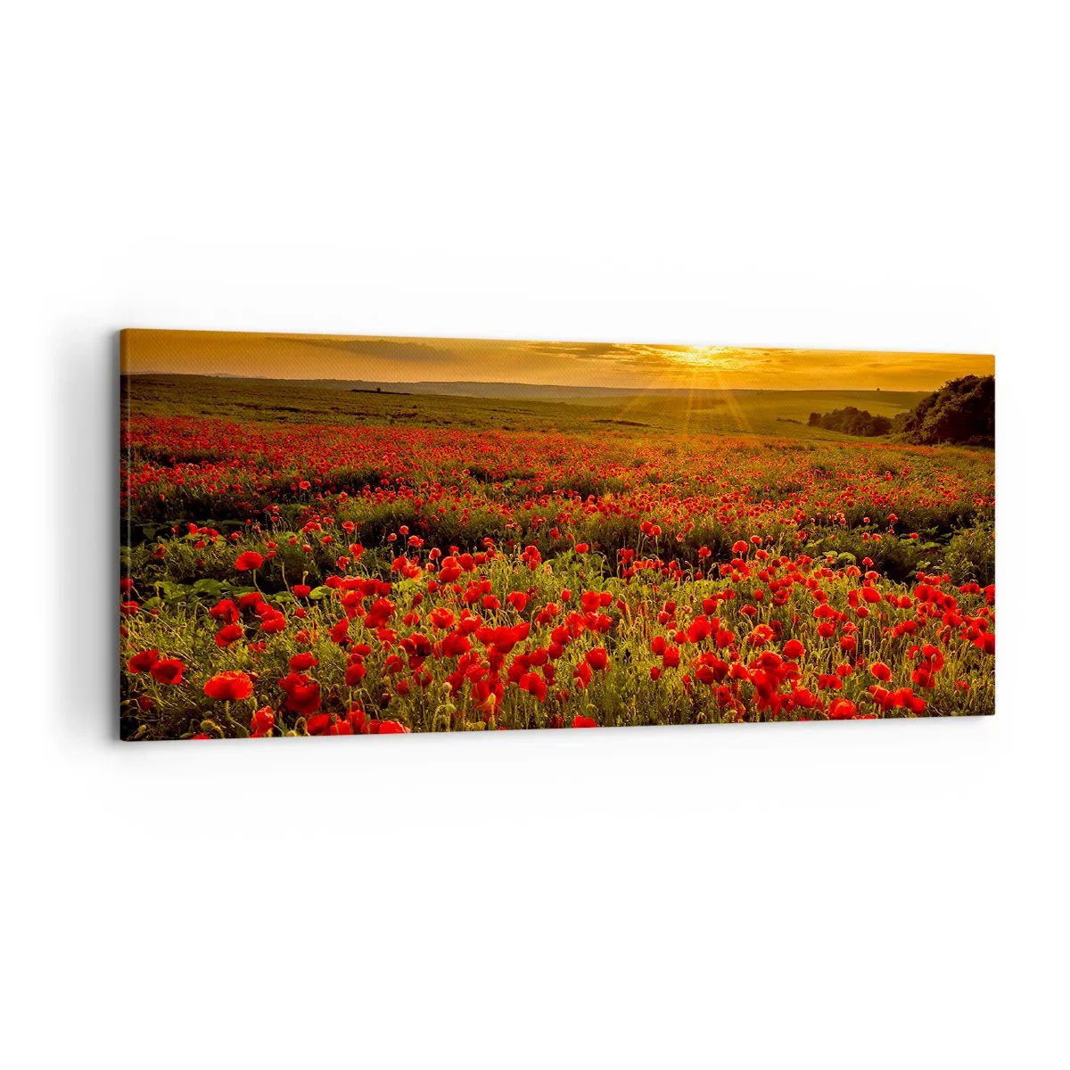 Canvas picture - In the Meadow, among Flood of Flowers - 120x50 cm