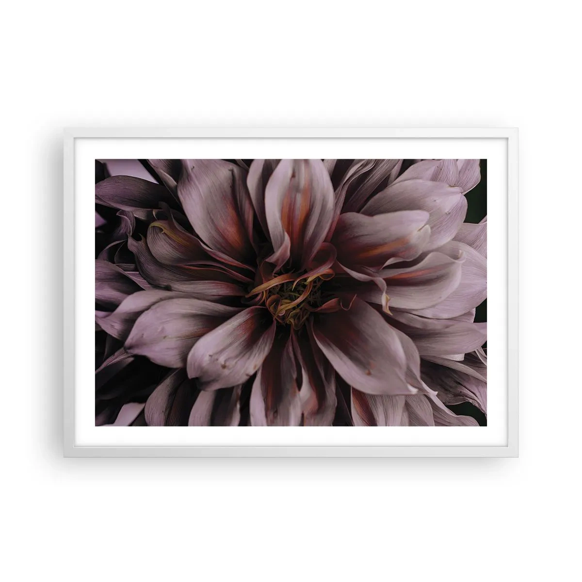 Poster in white frmae - Flowery Heart - 70x50 cm