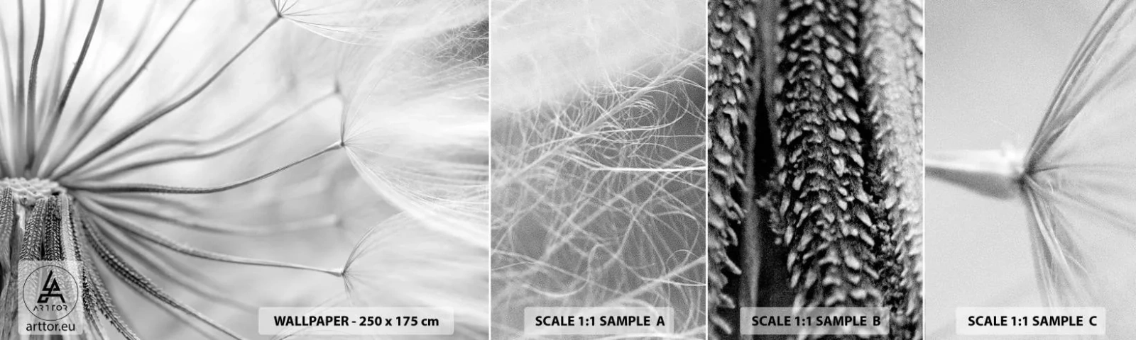 Photo Wallpaper Sample Standard Eco - Dandelion Kites - Minimalism, Delicate, Flower - 100x30 cm