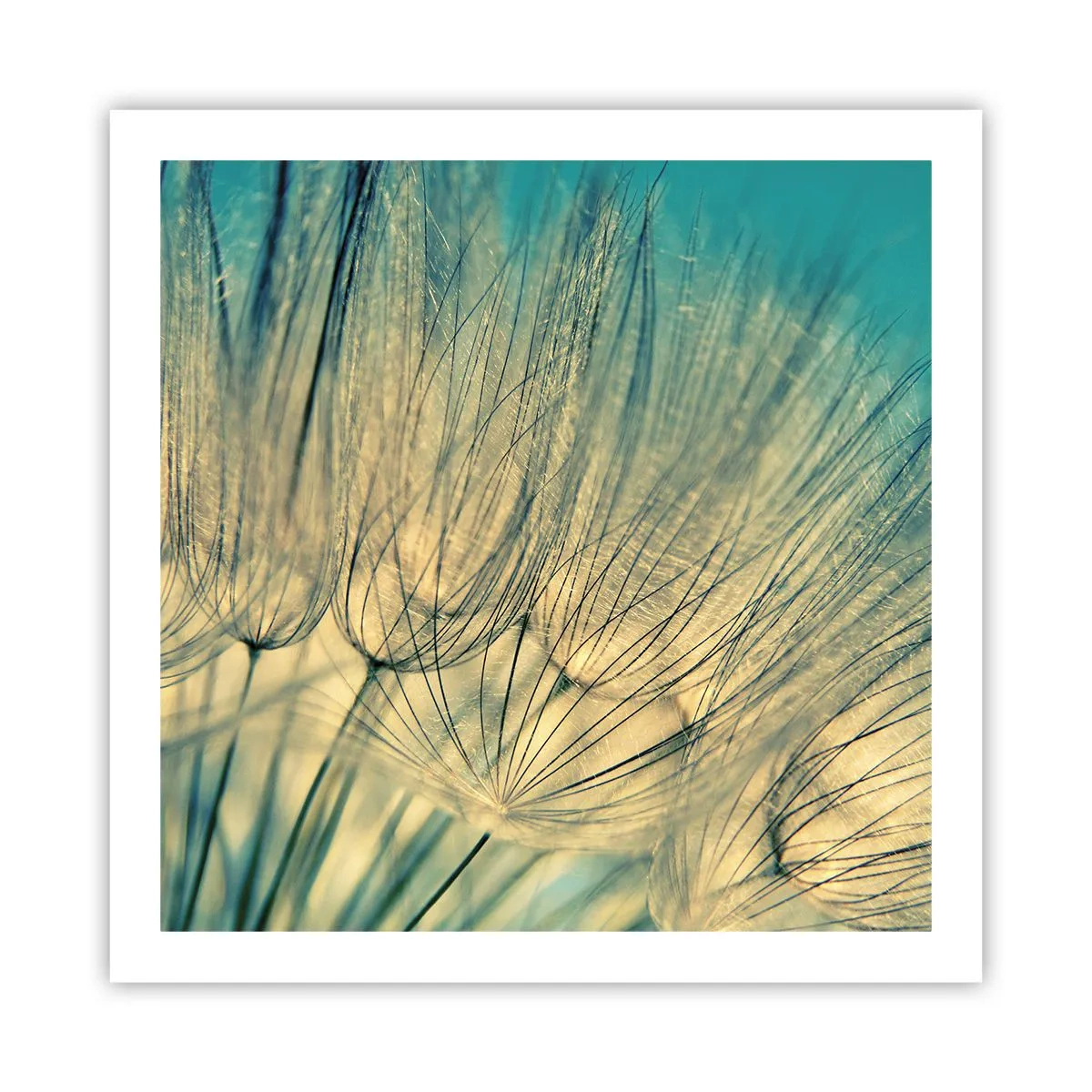 Poster - Waiting for the Wind - 60x60 cm
