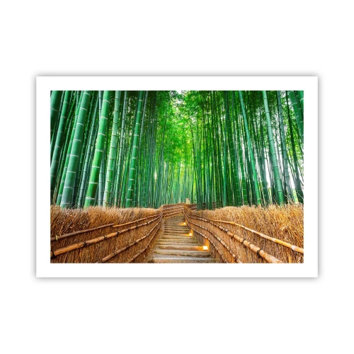 Poster - Essence of Asian Nature - 70x50 cm