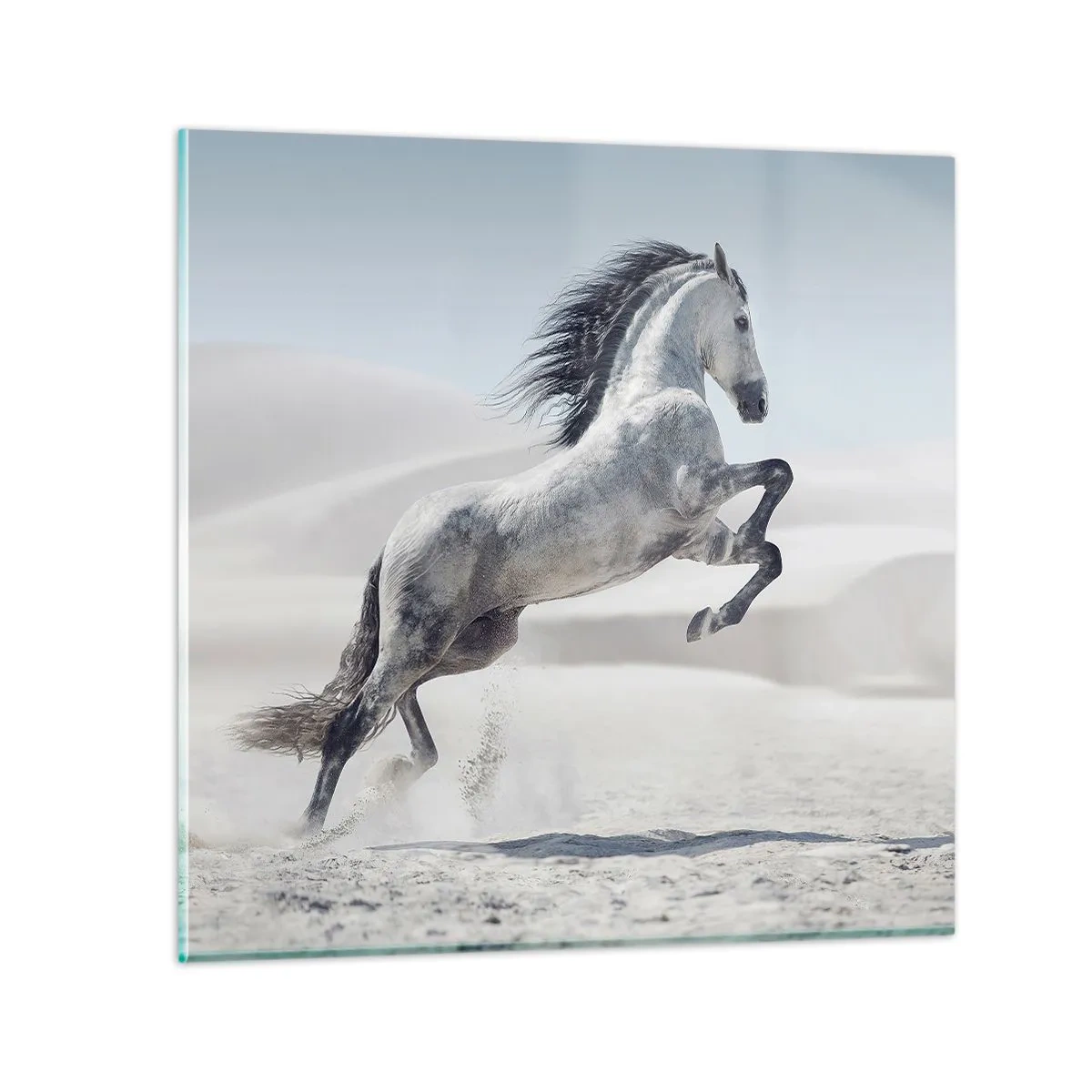 Glass picture - Arabic Prince - 40x40 cm