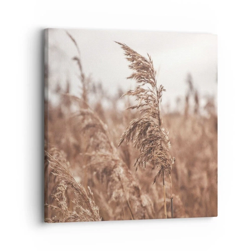 Canvas picture - Autumn Has Arrived in the Fields - 30x30 cm