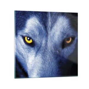 Glass picture - Mesmerising Look - 60x60 cm