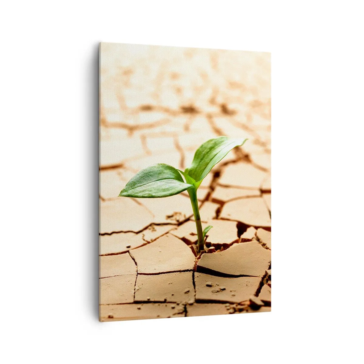 Canvas picture - Untamed Life Force - 70x100 cm