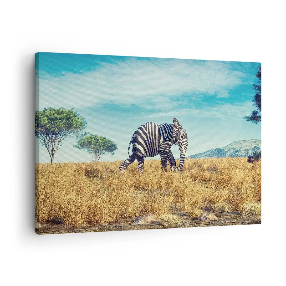 Canvas picture - Zebra in an African landscape - 70x50cm - Greyness Is Not In Fashion - Modern wall decoration for the living room and bedroom ARTTOR