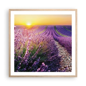 Poster in light oak frame - Fragrant Field - 60x60 cm