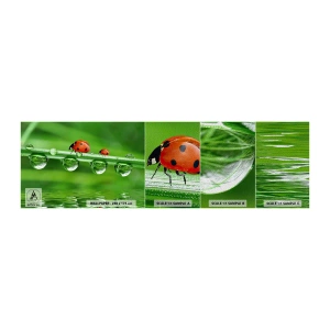 Photo Wallpaper Sample Premium Sand - Summer Is on Its Way - Ladybird, A drop of water, Nature - 100x30 cm