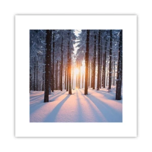 Poster - Clearly Black on White - 30x30 cm