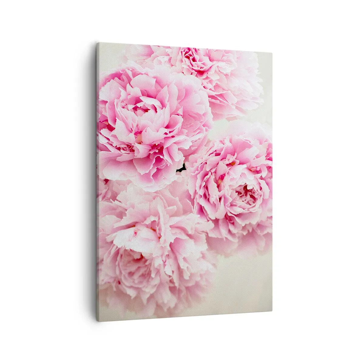 Canvas picture - In Pink Splendour - 50x70 cm