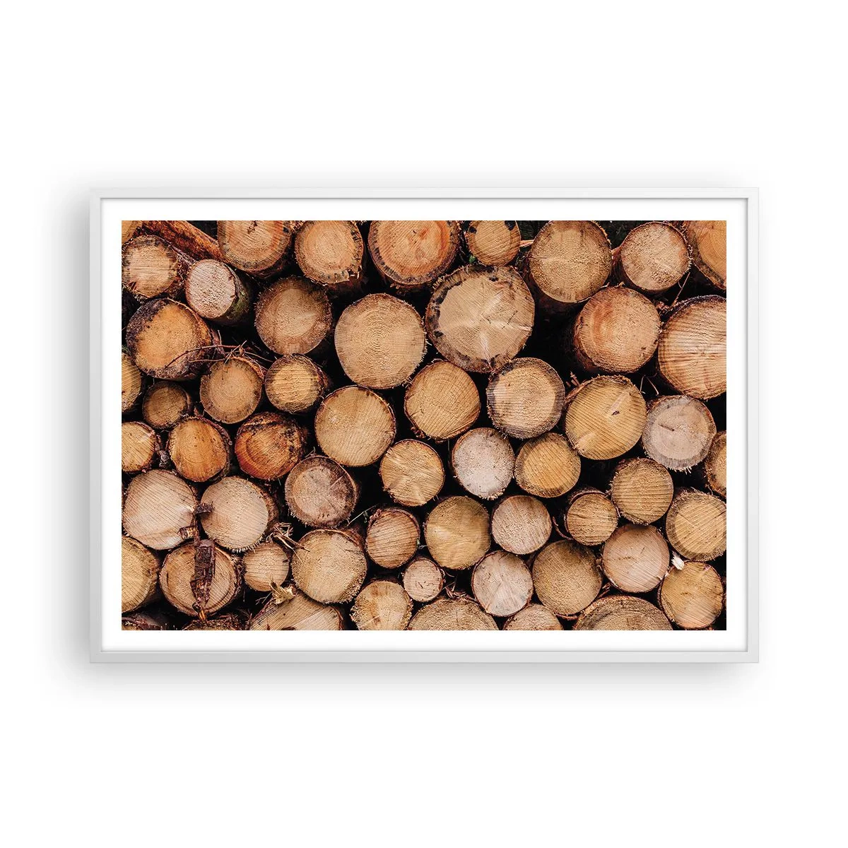 Poster in white frmae - New Beginning - 100x70 cm