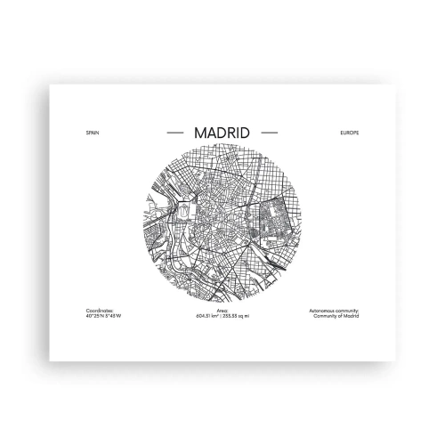 Poster - Anatomy of Madrid - 50x40 cm