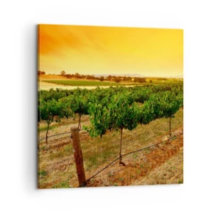 Canvas picture - Drink up the Sun - 60x60 cm