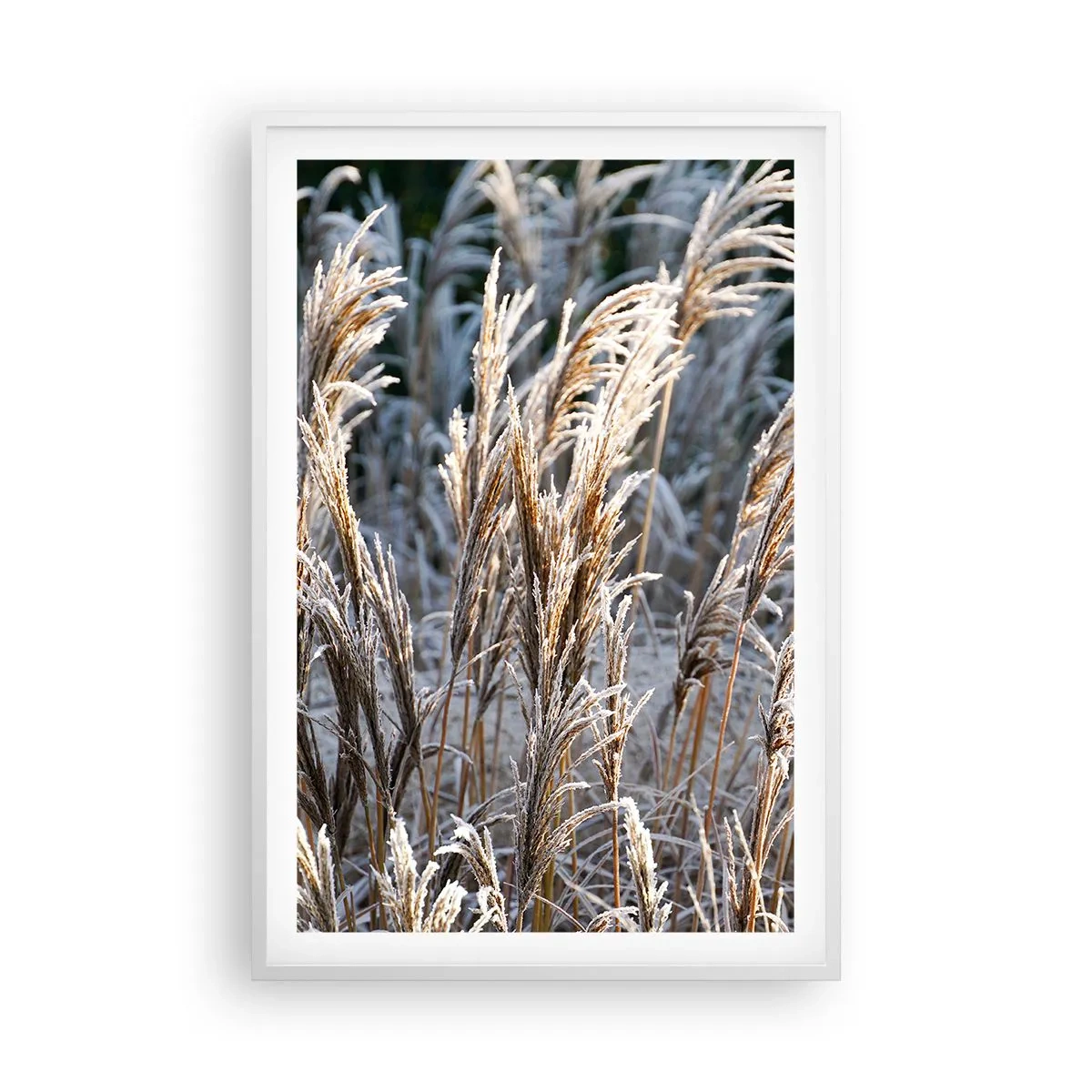 Poster in white frmae - Decorated with Frost - 61x91 cm