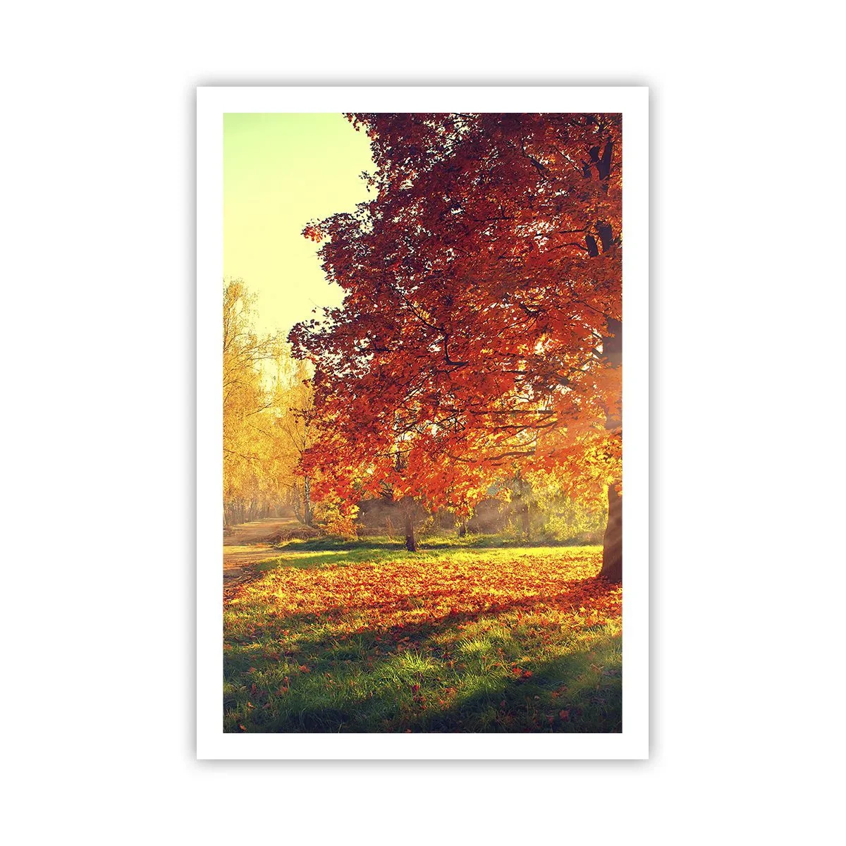 Poster - Ginger Is Beautiful - 61x91 cm