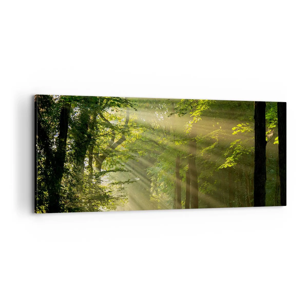 Canvas picture - Forest Moment - 100x40 cm