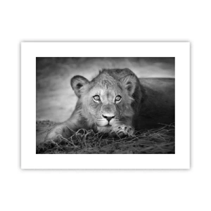 Poster - Royal Puppy - 40x30 cm