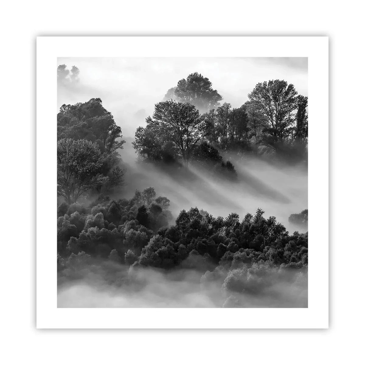 Poster - Rising from a Sleep - 50x50 cm