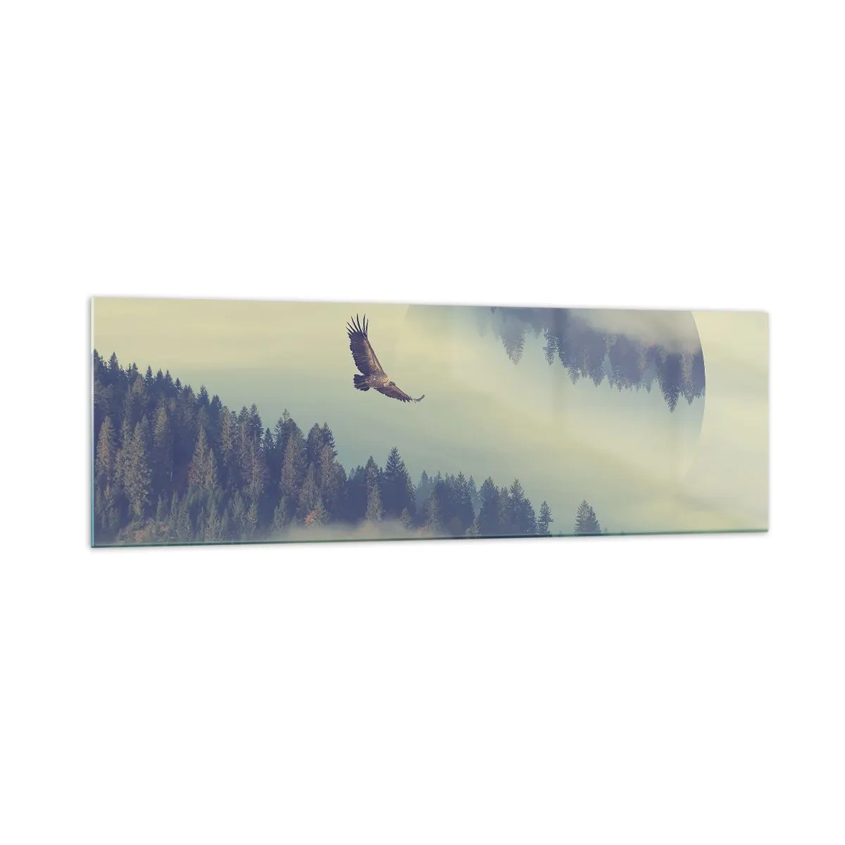 Glass picture - Flying Eagle  - 160x50 cm