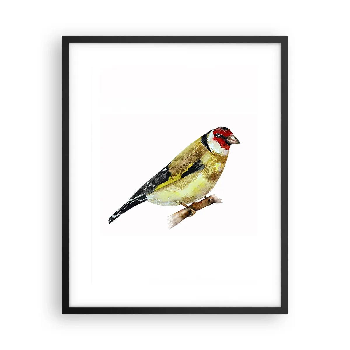 Poster in black frame - Bird Portrait - 40x50 cm