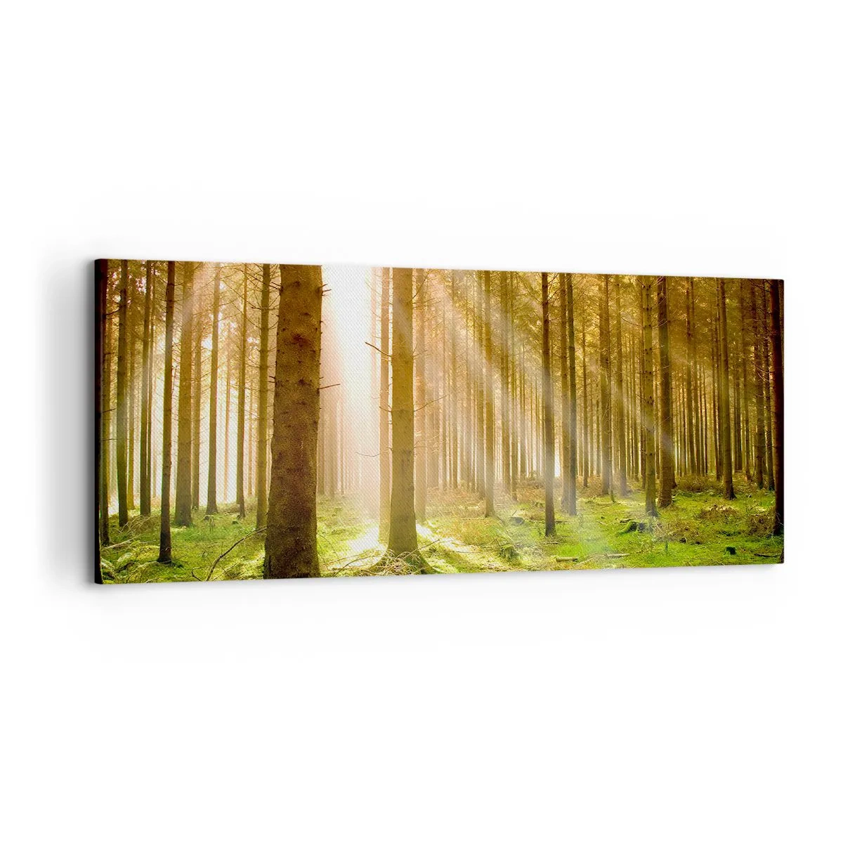 Canvas picture - Elfs Will Be Here Soon - 120x50 cm