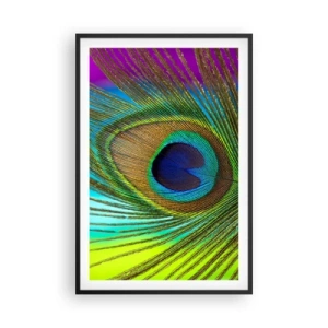 Poster in black frame - Eye to Eye - 61x91 cm