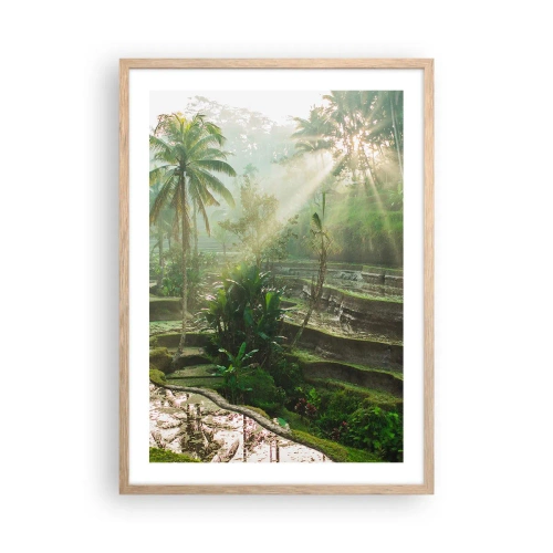 Poster in light oak frame - Maturing in the Sun - 50x70 cm