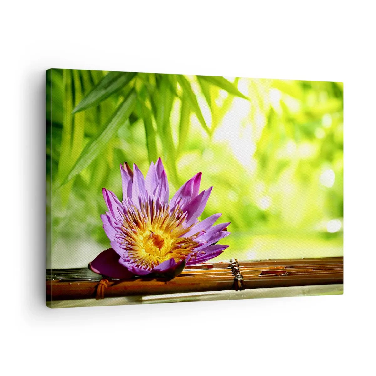 Canvas picture - Purple lotus flower against a background of green bamboo leaves - 70x50cm - In the Asian Sun - Modern wall decoration for the living room and bedroom ARTTOR