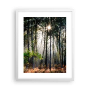 Poster in white frmae - Woodland Area - 40x50 cm